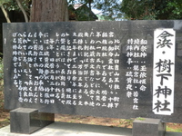 樹下神社