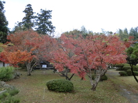 芦浦観音寺