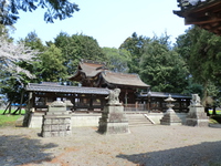 樹下神社