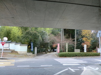 五百井神社、安養寺山