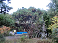 芦浦観音寺