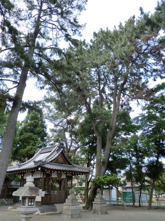 樹下神社