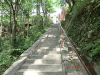 施福寺・男乃宇刀神社