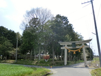 樹下神社