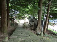 樹下神社