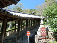 長谷寺
