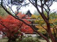 芦浦観音寺