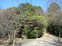 三上神社