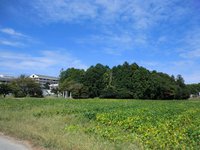 川田神社