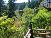 長谷寺