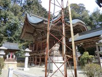 杉之木神社