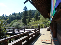 長谷寺