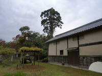 芦浦観音寺