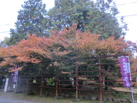 芦浦観音寺