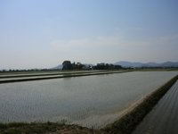 浄厳院