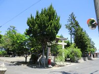 八幡神社