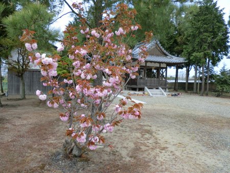 佐波江神社(稲荷神社)