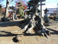 山部神社・赤人寺