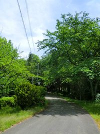 八幡十二神社・長光寺