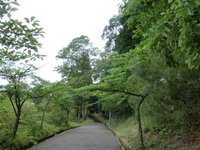 若宮八幡神社