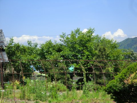 若松稲荷神社・弁財天・愛宕神社