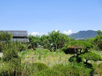 若松稲荷神社・弁財天・愛宕神社