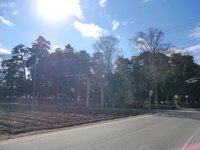 椿神社・毘沙門天