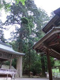 大宮神社・豊丸大明神