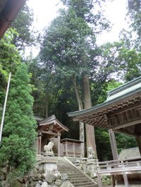 大宮神社・豊丸大明神