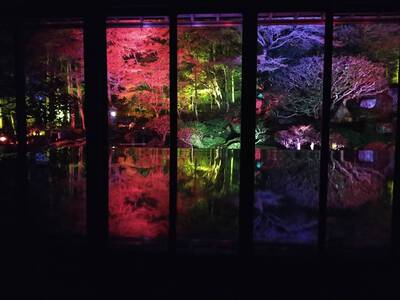竹林院、だそうです。
