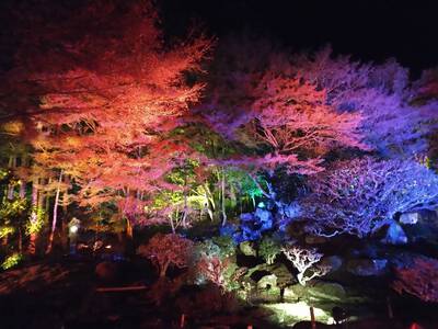 竹林院、だそうです。