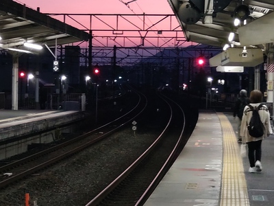 いろいろ動けるが華…か。