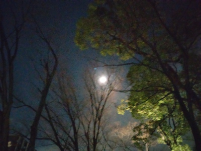 鬼が出そうな月夜かな…