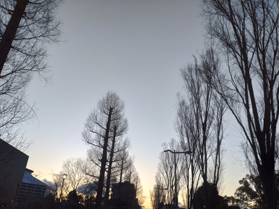 夕暮れのうちに出る。