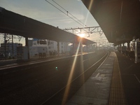 11日振りの。 2023/08/17 15:13:35