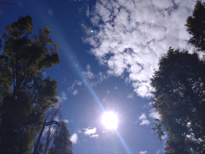 青空、雷鳴…そして秋の気配や。