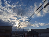 八月最後の「日曜日」でしたね。 2023/08/27 19:15:47
