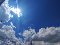 早い、早い、早い･･･。 2023/09/16 18:15:53