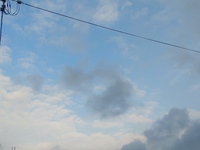 その後のこと。そして、継(つ)ないで行こう･･･。 2023/09/28 18:56:32