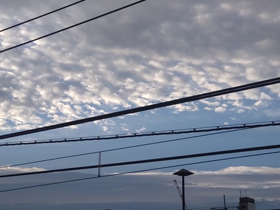 みんな、何処へ行くの？