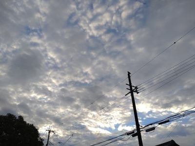 すっかり秋めいて、の朝。