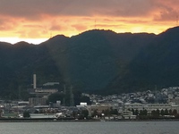 今年もお世話になりました♪（2ヶ月前に） 2023/10/31 18:53:04