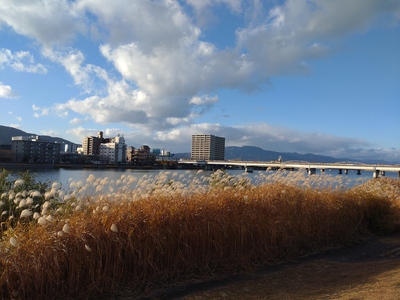 琵琶湖より/愛をこめてと/言うけれど