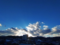 暮れる。 2023/12/17 20:45:56