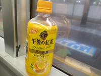 あれから29年〜春よ、来い 2024/01/17 20:18:14