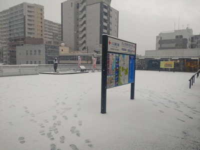春分過ぎて雪の朝。