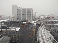 春分過ぎて雪の朝。 2024/03/21 20:08:55