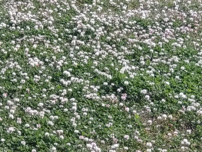 幸せを、探そう。