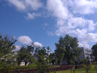 しゃべくる仕事。 2024/06/05 19:06:27
