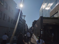 初めての「民族大移動」！ 2024/06/19 21:01:29